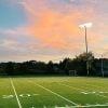empty-field